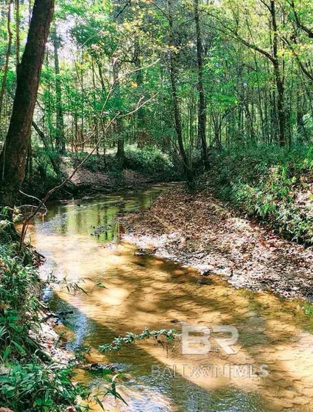 view of local wilderness