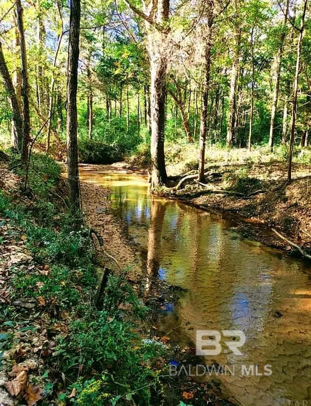 view of water feature