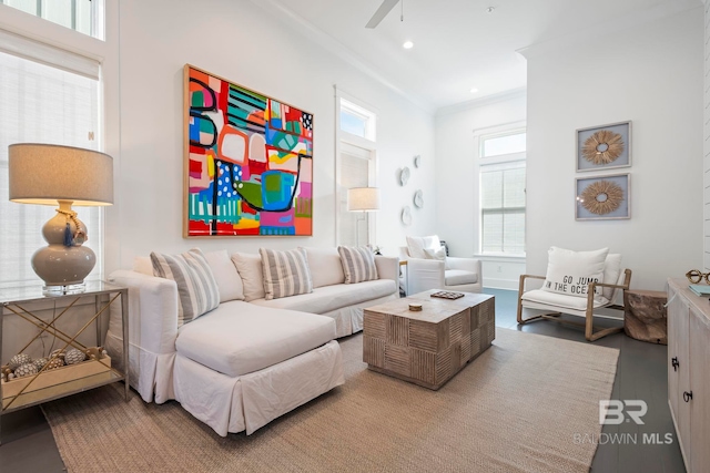 living room featuring crown molding