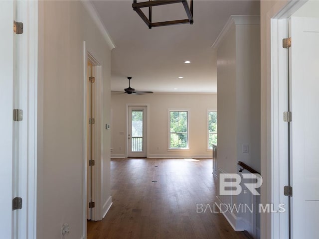 corridor featuring crown molding and dark wood-type flooring