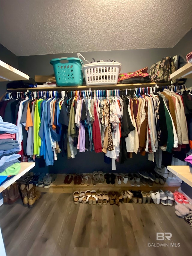 spacious closet with hardwood / wood-style floors