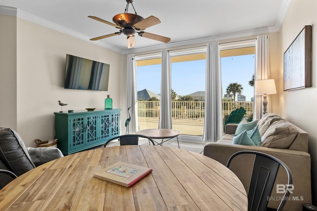 interior space featuring plenty of natural light and ceiling fan