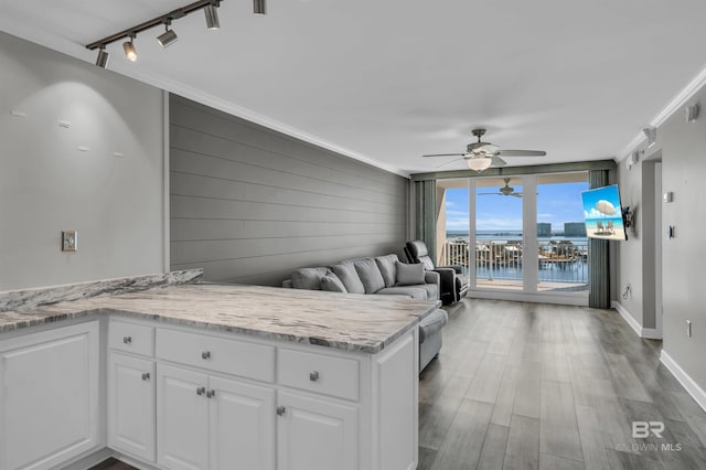 kitchen featuring white cabinetry, light stone countertops, wood-type flooring, crown molding, and rail lighting