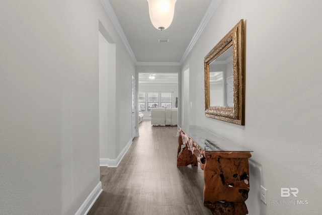 hallway featuring dark hardwood / wood-style floors and crown molding