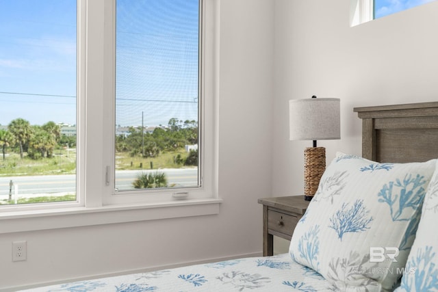 bedroom with multiple windows