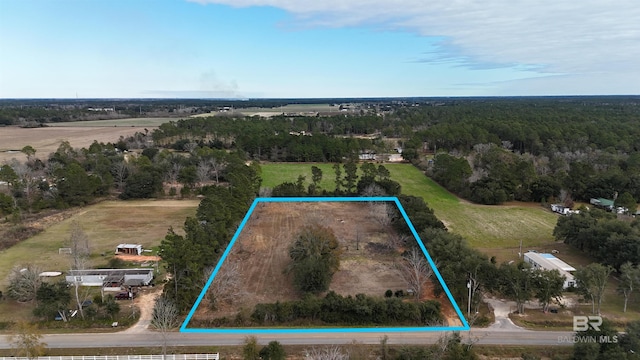 11650 Breman Rd, Elberta AL, 36530 land for sale