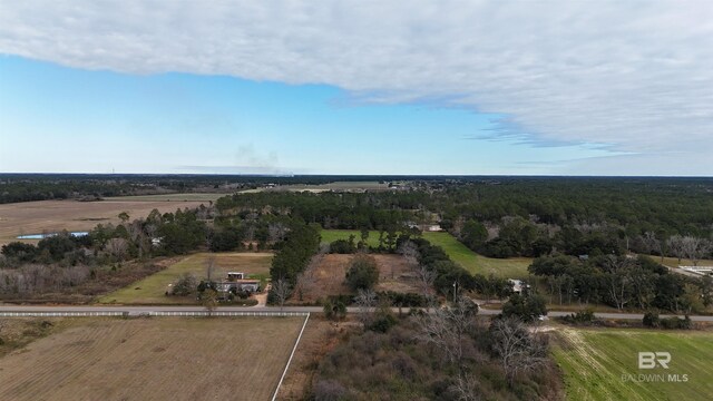 11650 Breman Rd, Elberta, AL 36530