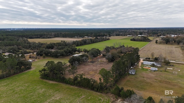 11650 Breman Rd, Elberta, AL 36530