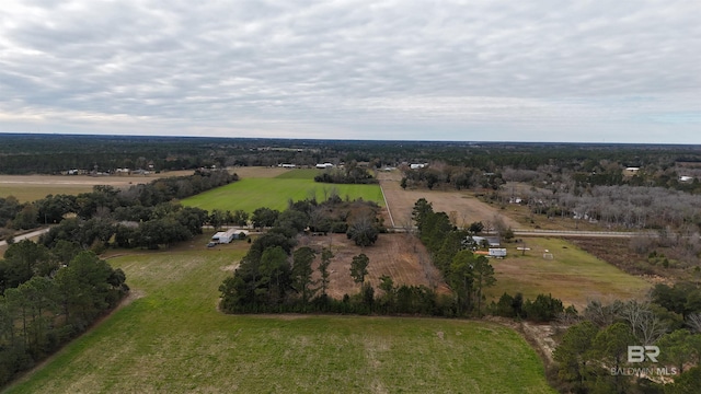 11650 Breman Rd, Elberta, AL 36530