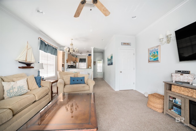 carpeted living room with ceiling fan with notable chandelier and ornamental molding