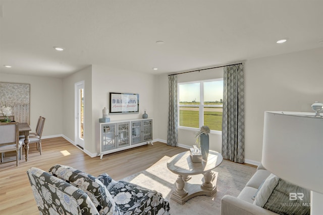 living room featuring light hardwood / wood-style flooring