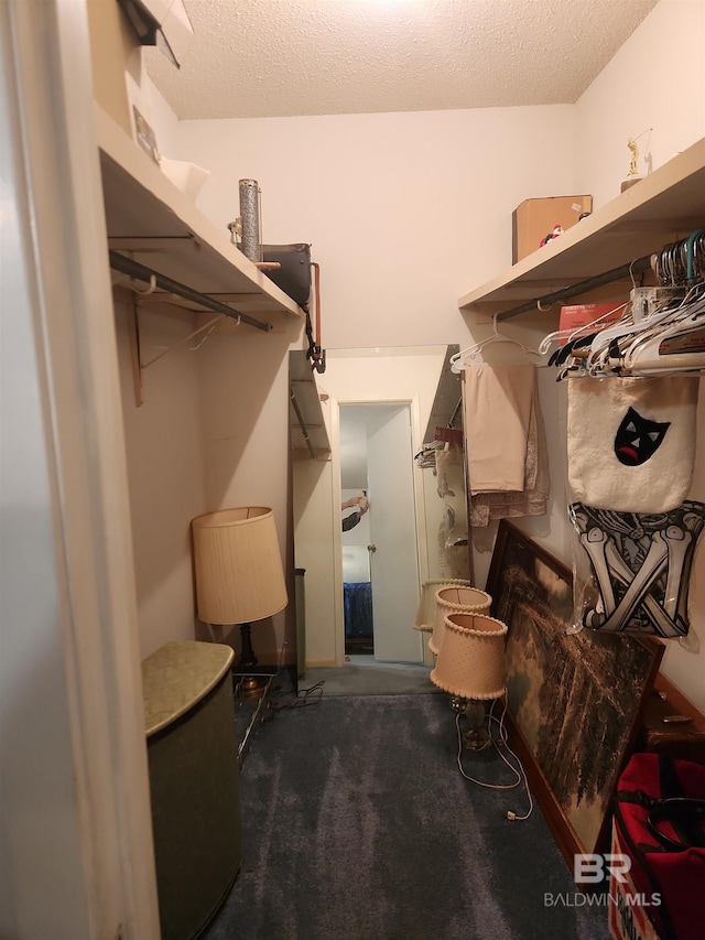 spacious closet with carpet floors