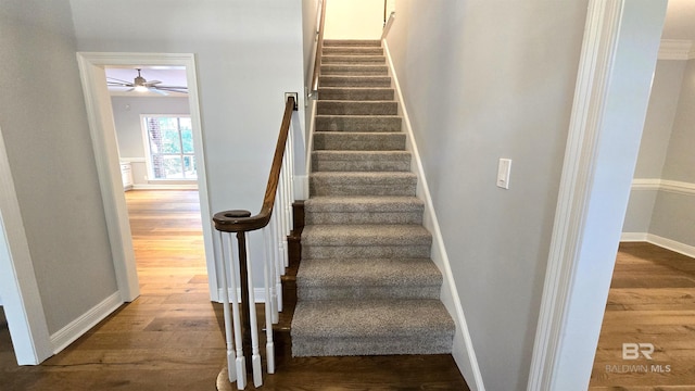 stairway featuring ceiling fan and hardwood / wood-style floors