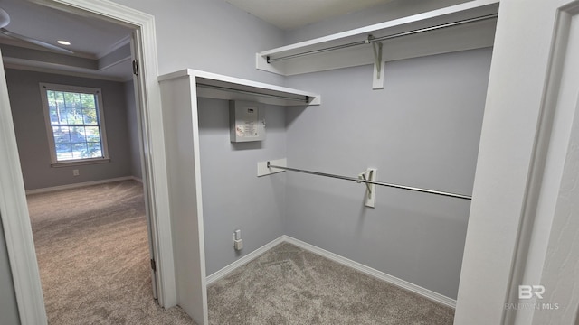 spacious closet featuring carpet