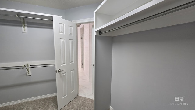 spacious closet with carpet