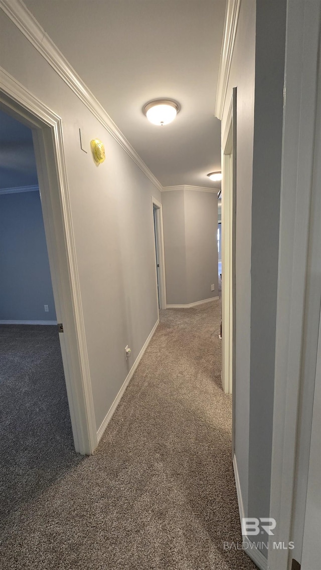 hallway with carpet flooring and crown molding