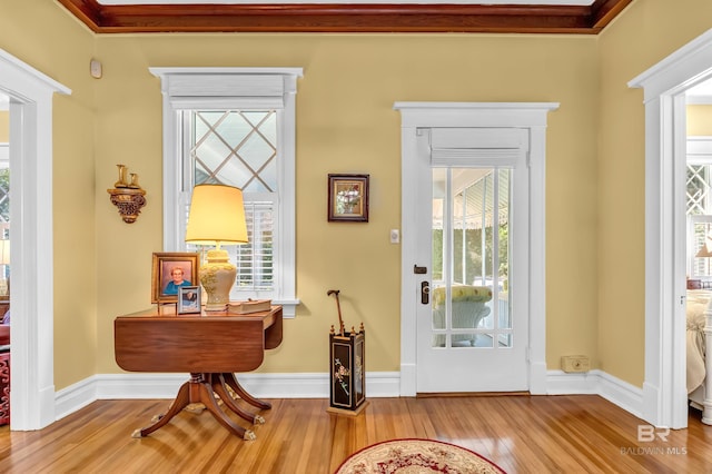 entryway featuring wood-type flooring and a wealth of natural light