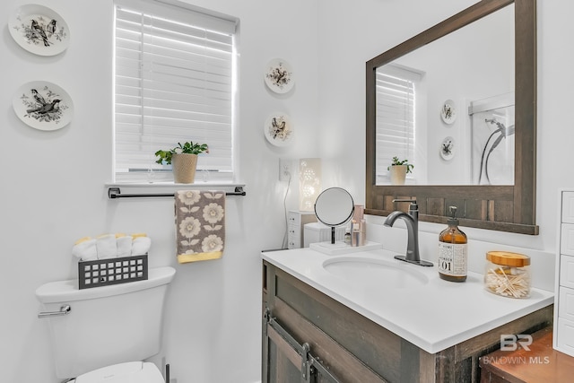 bathroom with toilet and vanity