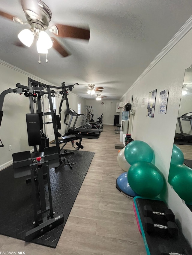 2711 Manuel Dr, Lillian, AL 36549