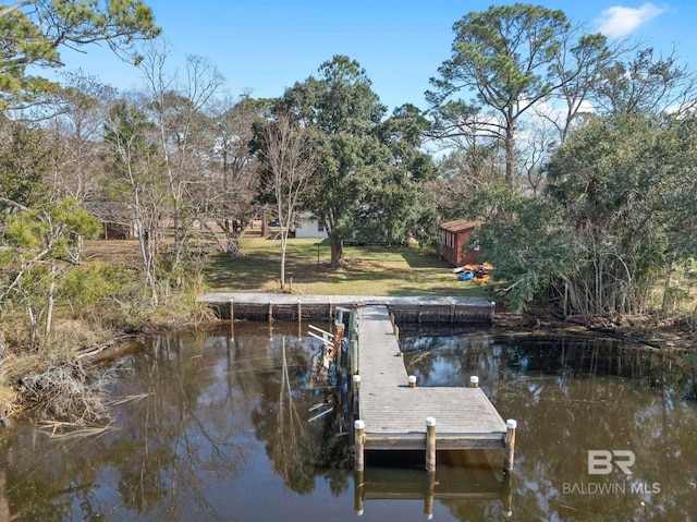 dock area with a water view