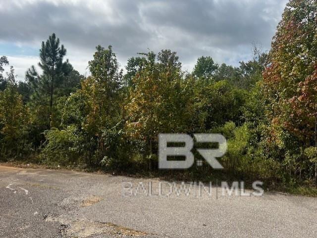 0 Anna Ct, Mobile AL, 36695 land for sale