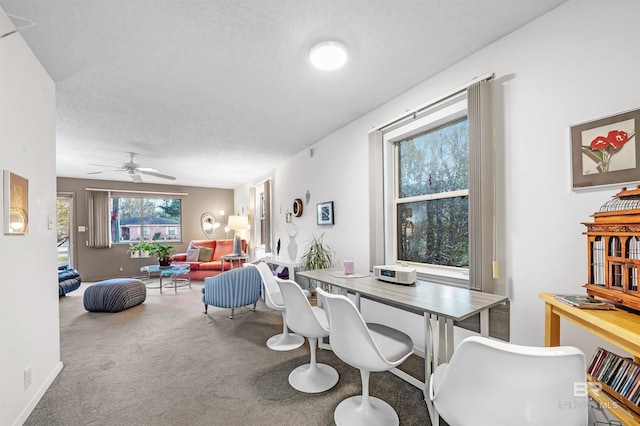 526 W Ariel Ave, Foley, AL 36535 - dining area featuring ceiling fan, a textured ceiling, and carpet