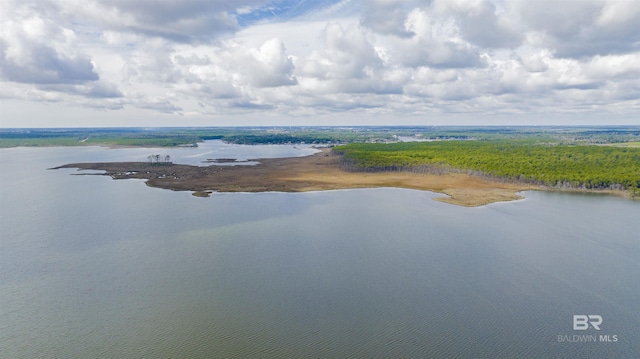property view of water