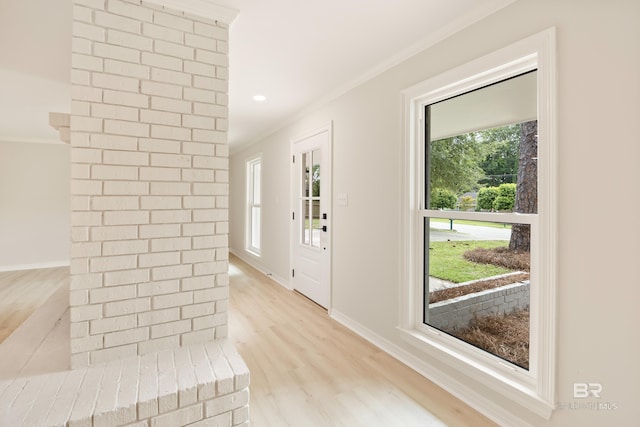 foyer entrance with light wood-type flooring and crown molding