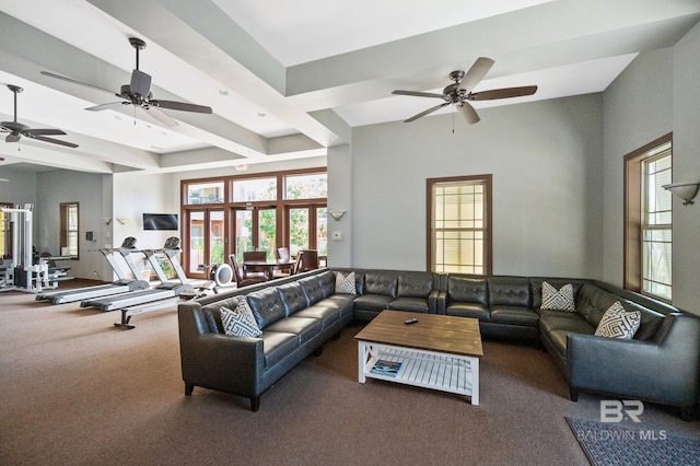 living room featuring beamed ceiling, carpet, and ceiling fan