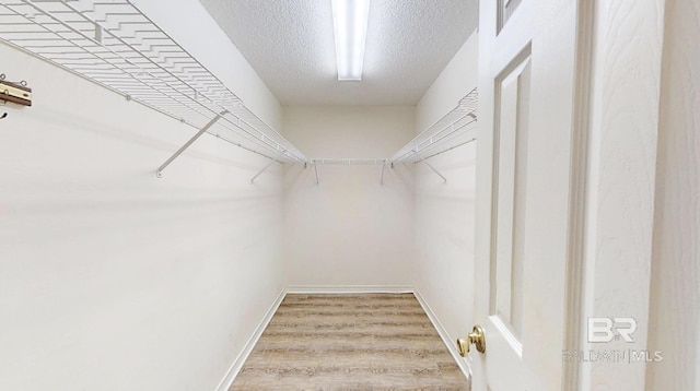 33580 Woodlands Dr, Lillian, AL 36549 - walk in closet with light wood-type flooring
