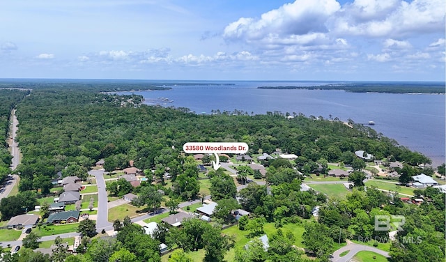 33580 Woodlands Dr, Lillian, AL 36549 - aerial perspective of suburban area featuring a large body of water and a forest