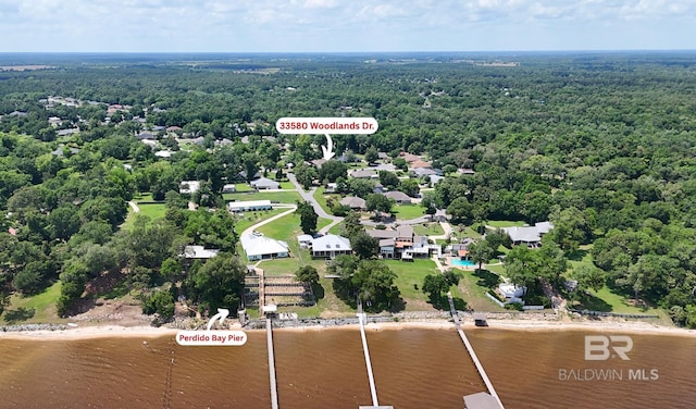 33580 Woodlands Dr, Lillian, AL 36549 - aerial view of a forest and a nearby body of water