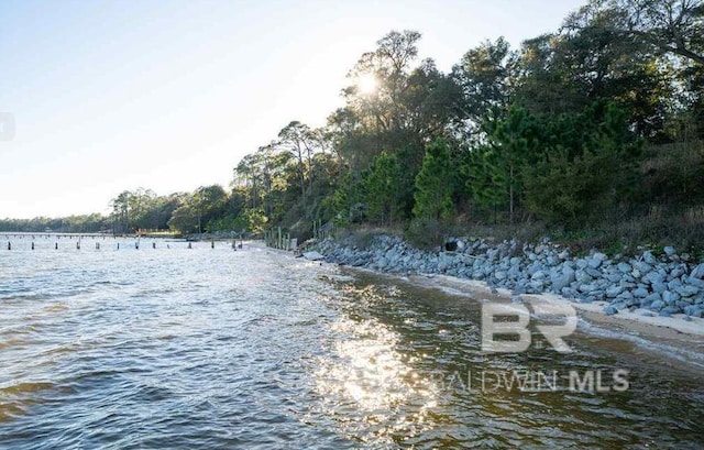 33580 Woodlands Dr, Lillian, AL 36549 - water view