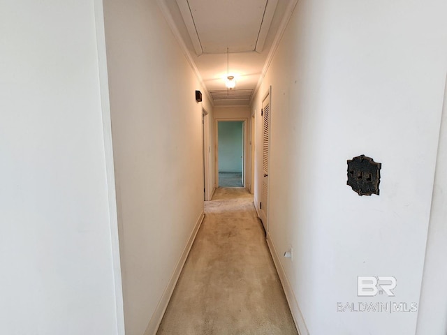 hall featuring light colored carpet and crown molding