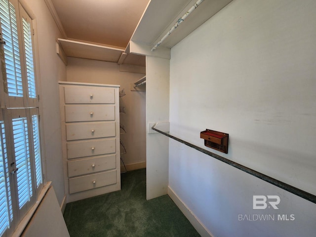 spacious closet with dark colored carpet