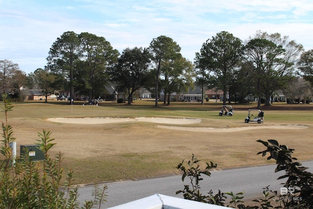 view of community featuring a yard