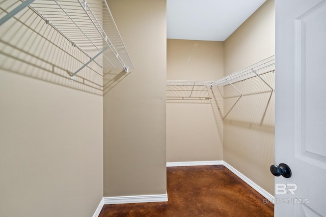 view of spacious closet