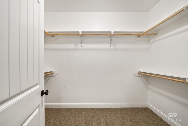 walk in closet with carpet