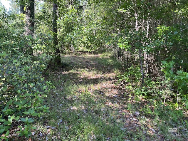 view of landscape with a wooded view
