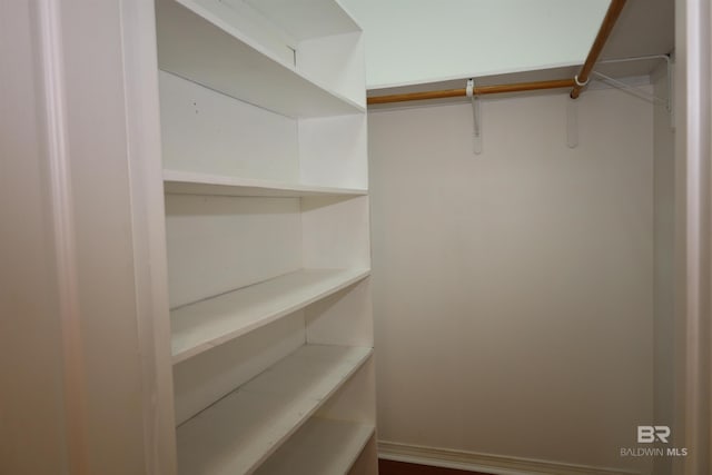 view of walk in closet