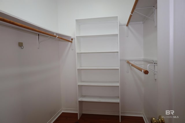 walk in closet featuring wood finished floors