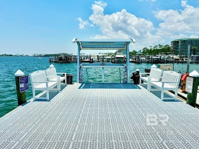 dock area with a water view