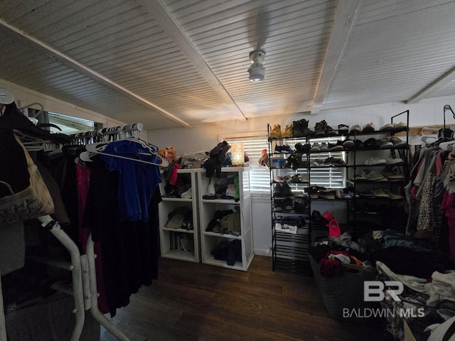 walk in closet featuring wood-type flooring