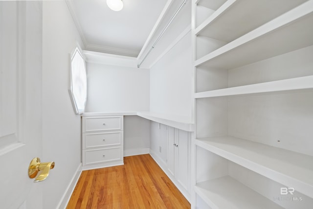 walk in closet with light hardwood / wood-style floors and built in desk