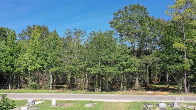 LOT6 Harris St, Atmore, AL 36502