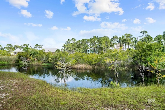 26498 Carondelette Dr, Orange Beach, AL 36561 - water view