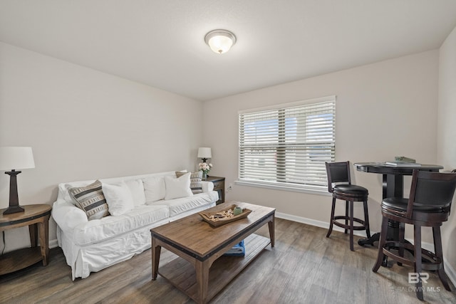 living room with dark wood-type flooring