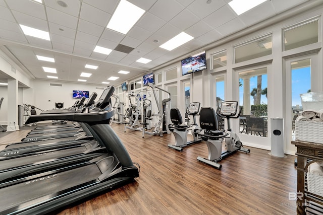 gym featuring a drop ceiling and wood finished floors