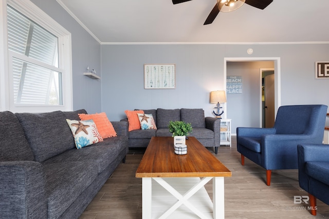 living room featuring hardwood / wood-style flooring, ceiling fan, and crown molding