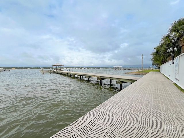 dock area with a water view